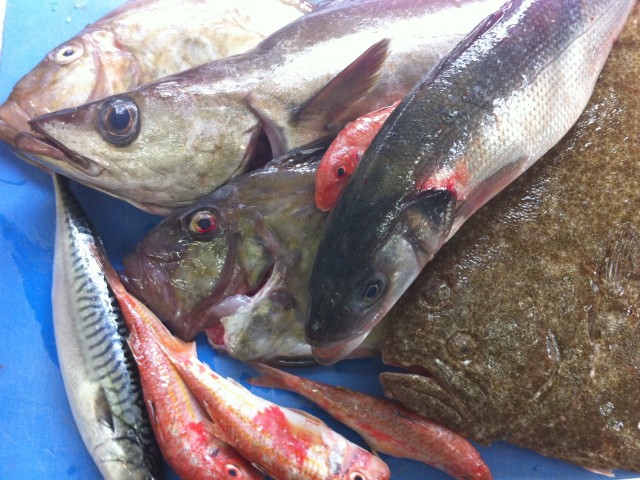 As de Trèfle Bernières sur Mer 