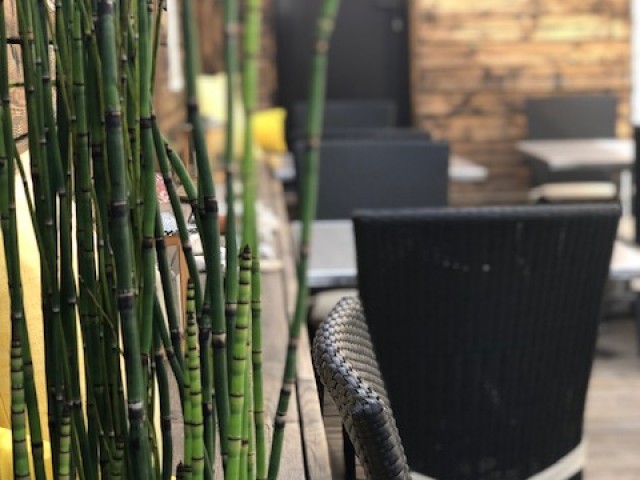 As de Trèfle Bernières sur Mer 