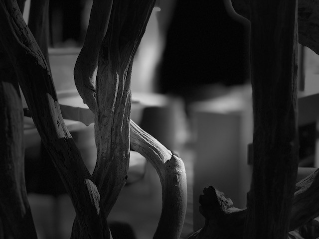 As de Trèfle Bernières sur Mer 