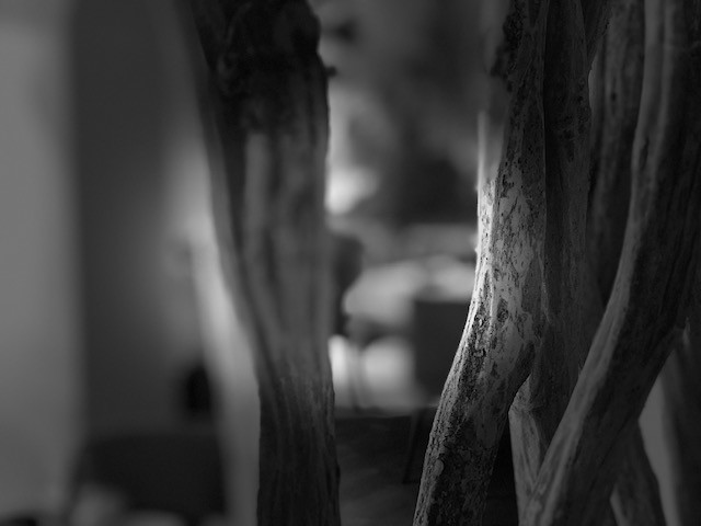 As de Trèfle Bernières sur Mer 